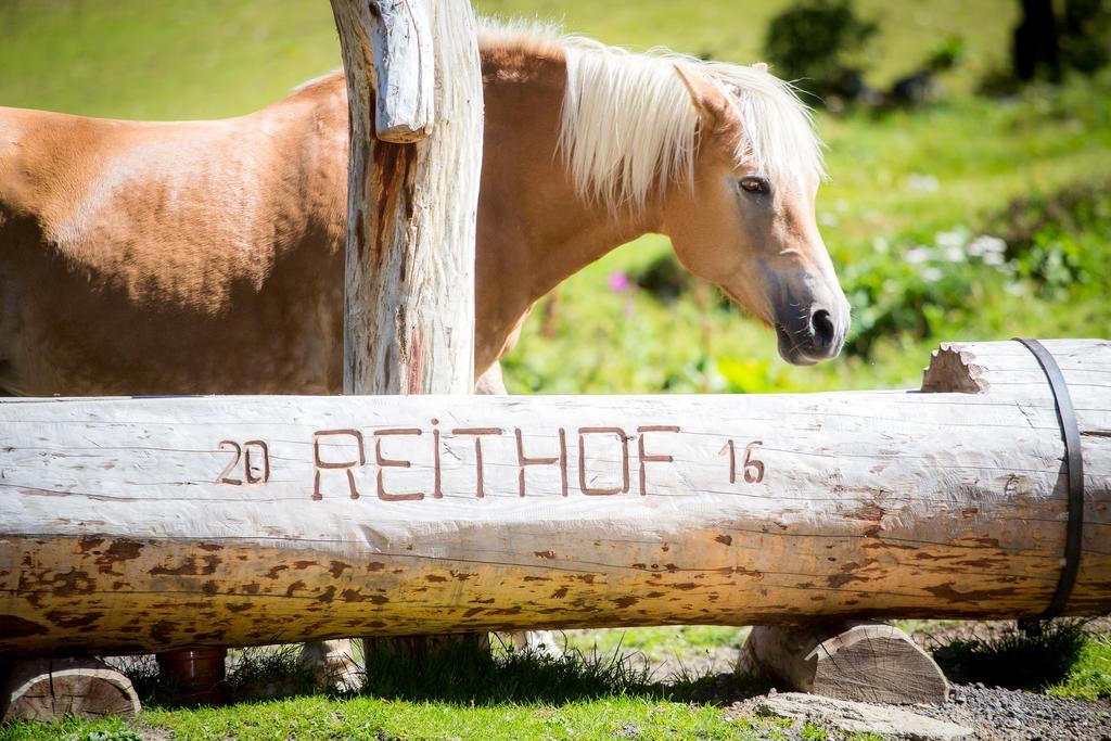 Almhof-Reithof Pitztal 호텔 장크트 리온하드 임 피츠탈 외부 사진